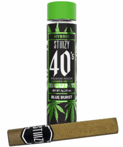 Stiiizy 2G X 1 Pre Roll