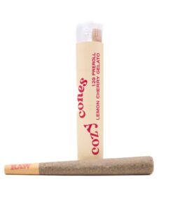 Cozy Cones 1.2G X 1 Pre Roll