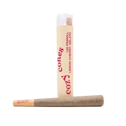 Cozy Cones 1.2G X 1 Pre Roll