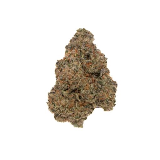 CANDY GELATO