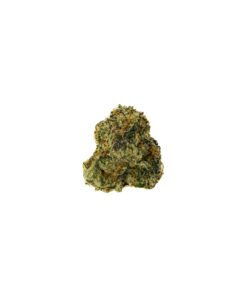 BLUE NERDS (MEDIUM)