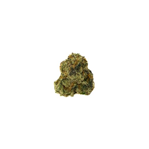 BLUE NERDS (MEDIUM)