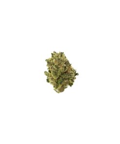 BACIO GELATO (SMALLS)