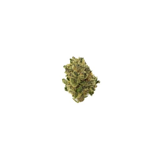 BACIO GELATO (SMALLS)