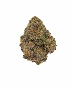 Z POP (MEDIUM)