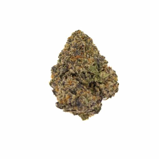 Z POP (MEDIUM)