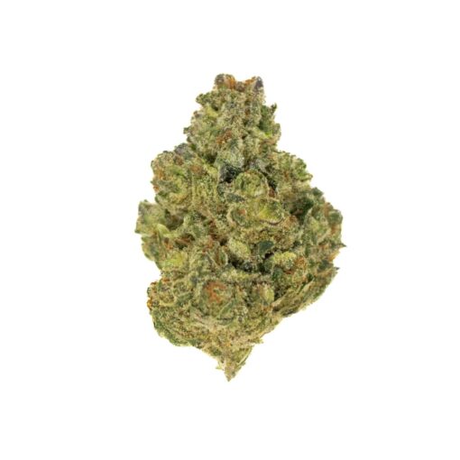 GELATO 33