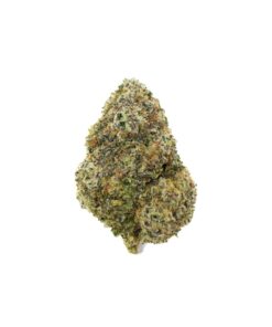 MINT CHIP GELATO