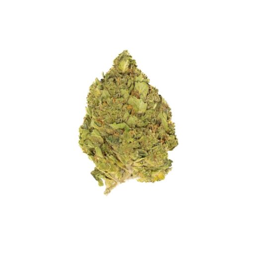 HUSTLE GELATO