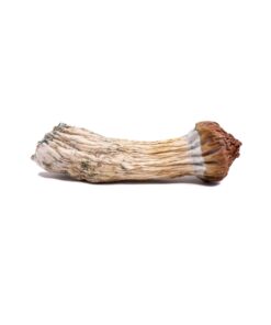 Paksdash PENIS ENVY raw