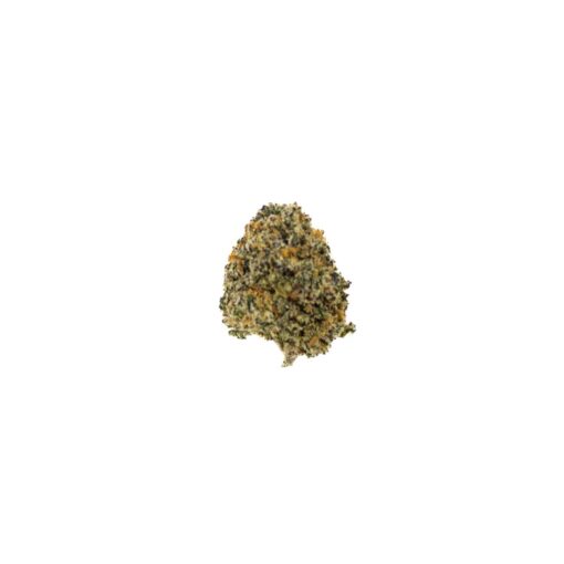 ZELDA OG (MEDIUM)
