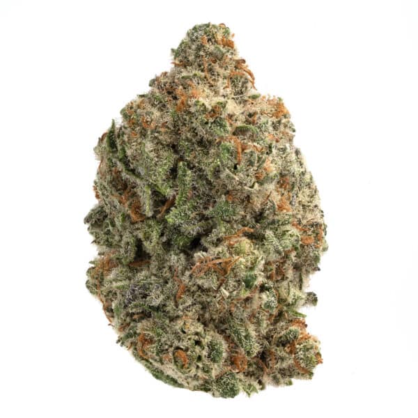 Jack Herer