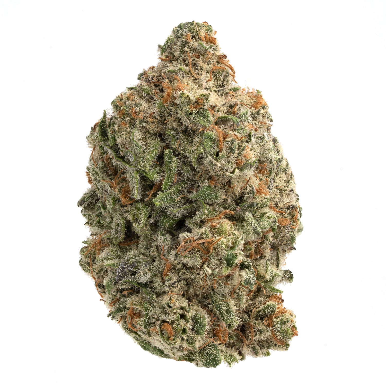 Jack Herer