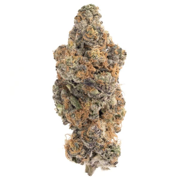 gelato 47 cannabis strain