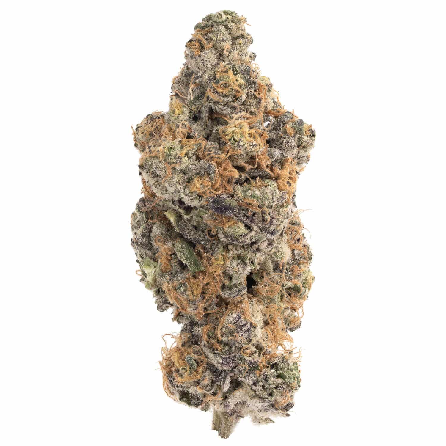 gelato 47 cannabis strain