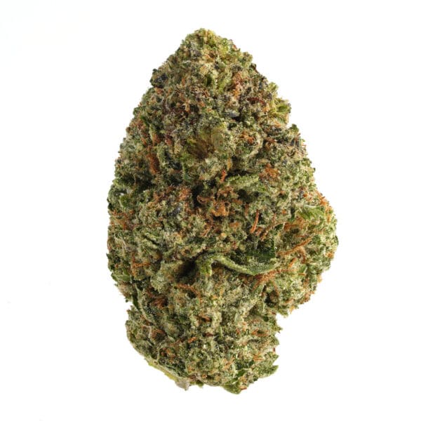 motor breath cannabis strain