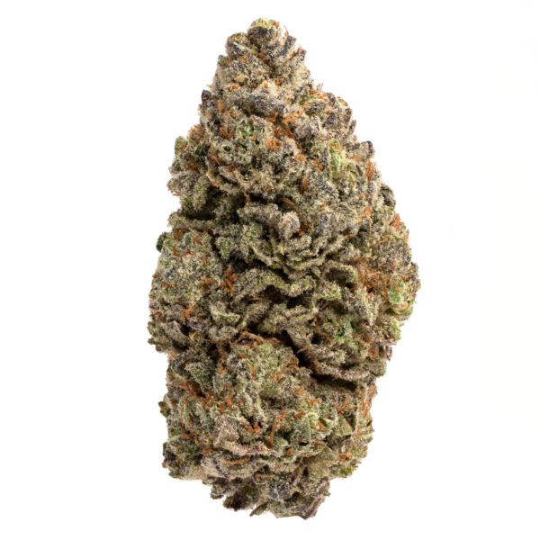 Grease Monkey