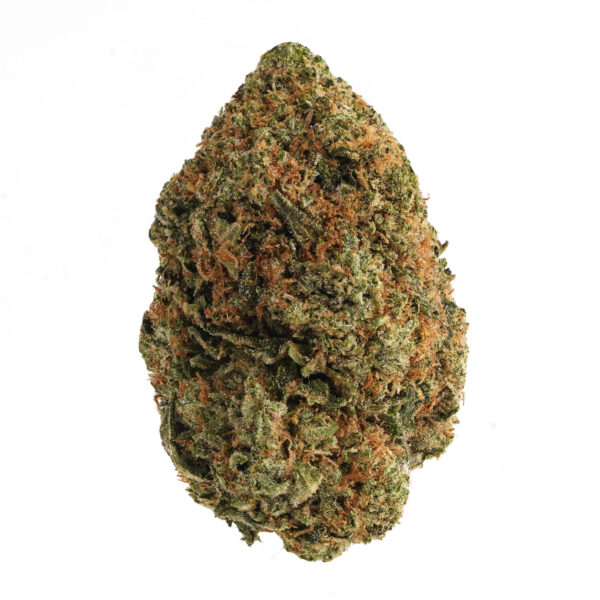 Master Kush